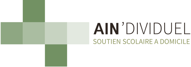 Ain'dividuel